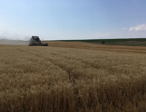 Запорізька область зібрала більше 2.2 млн тонн зерна