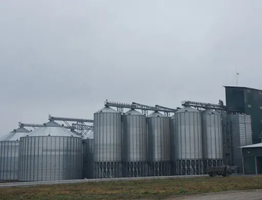 Компанія засновника Кернела купить елеватор Мрія