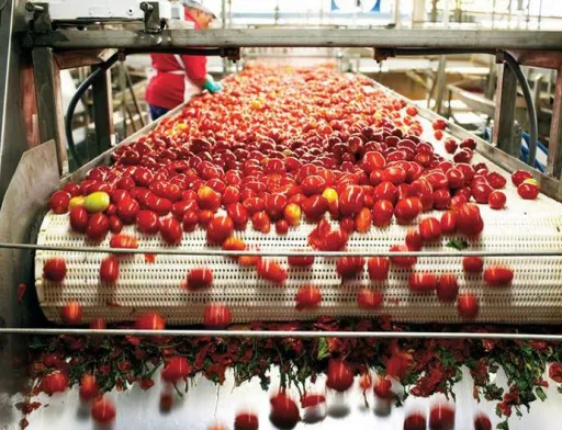 На Миколаївщині компанія Agrofusion запускає нову фабрику з виробництва томатної пасти
