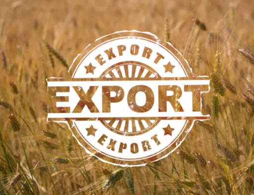 Офіційно: У 2018/2019 МР Україна експортувала рекордний обсяг зернових, – 50.4 млн тон