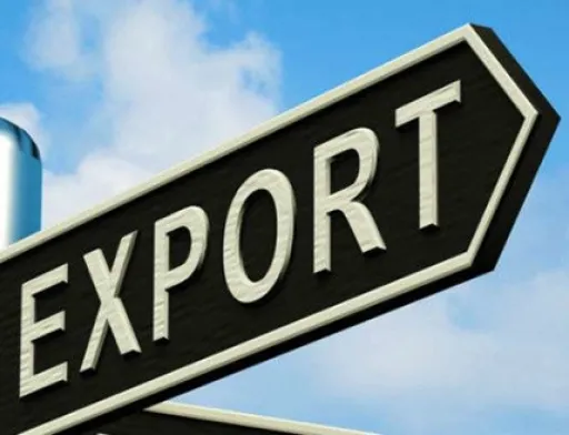За 6 місяців 2019 року український аграрний експорт досяг $10,3 млрд, - Ольга Трофімцева