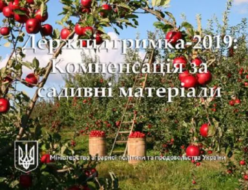 Держпідтримка-2019: Вже 114 млн грн. компенсації сплачено сільгоспвиробникам за придбаний садивний матеріал