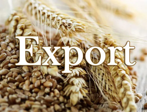 З початку 2019/20 МР з України експортовано майже 10 млн тон зерна