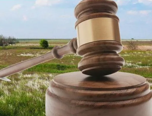 За результатами земельних торгів, проведених у серпні 2019 року, місцеві бюджети отримають понад 12.53 млн гривень