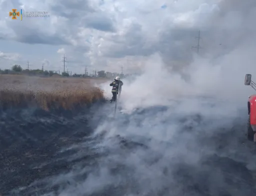 В Київській області горіло пшеничне поле