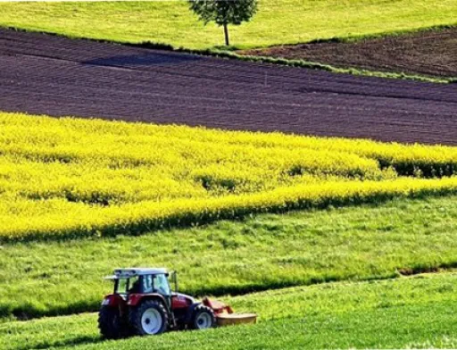 Ринок землі в Україні може почати діяти з 2020 року, - Зеленський
