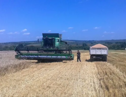 В Івано-Франківській області завершилося збирання ранніх зернових