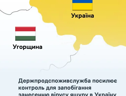 Держпродспоживслужба посилює контроль для запобігання занесенню вірусу ящуру в Україну
