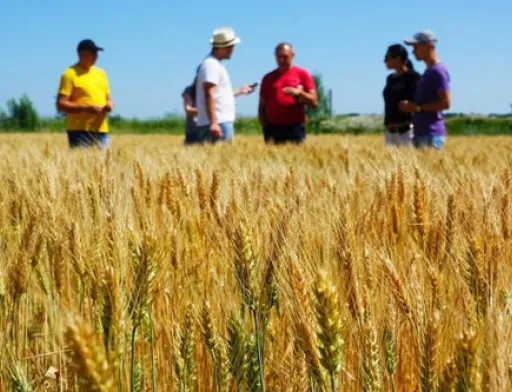 Боротьбу аграріїв проти продажу землі олігархам та іноземцям хочуть дискредитувати
