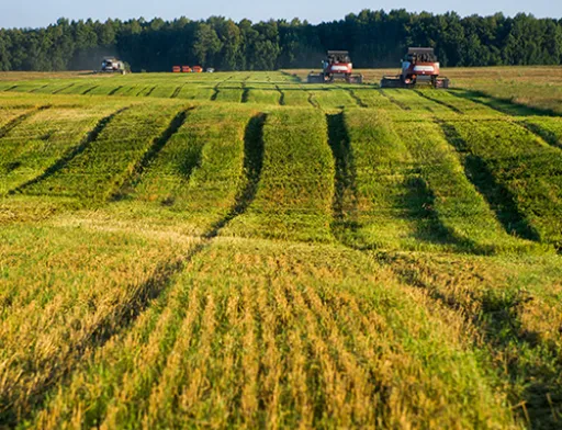 Оренда сільгоспземель в Україні зросла на 50%