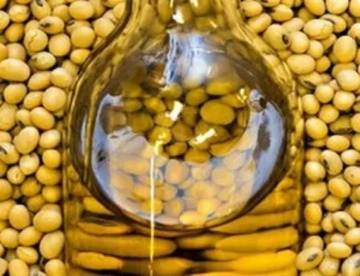 Cargill планує інвестувати в лінію з переробки сої на Каховському ОЕЗ
