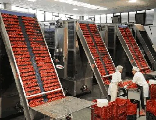 Вибір сушарки для певного харчового продукту залежить в основному від виду кінцевого продукту, кількості та типу вологи, швидкості сушіння, температурної чутливості, фізичної структури сухого матеріалу, вимог до якості сушеної продукції і багатьох інші факторів