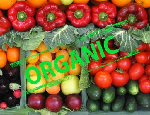 В Україні вступив в силу новий закон про органічну продукцію