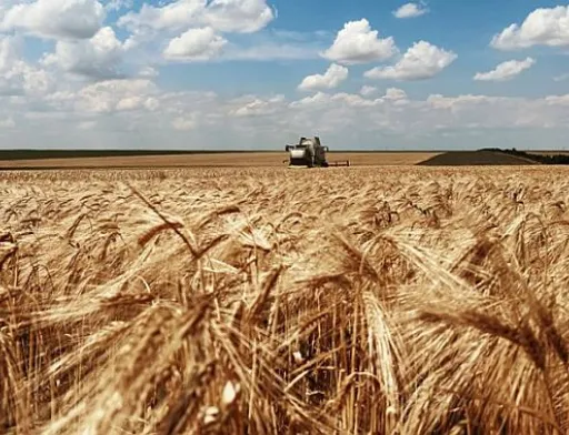 Адаптація українського агросектору до стандартів ЄС створить умови для виходу на нові ринки, – Денис Марчук