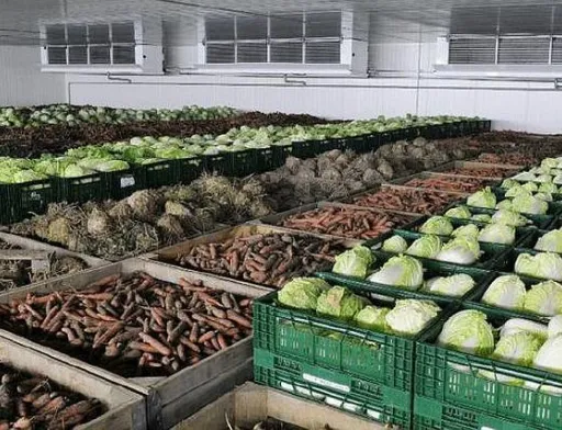 Аграрії будують овочесховища за власні кошти
