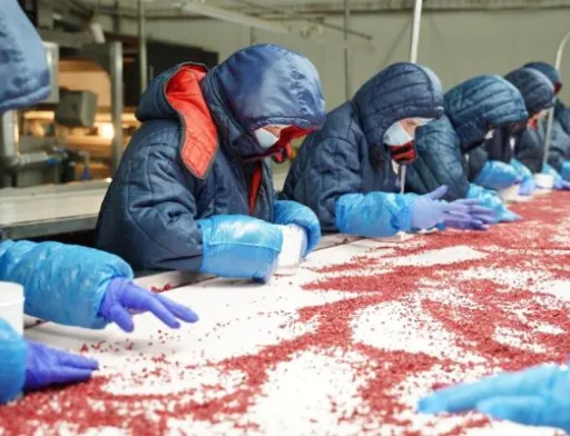 На заводі «Аграна Фрут» у Вінниці відкриють новий цех