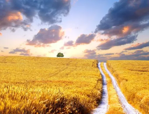 AGRI-Ukraine — $100 млн для українських фермерів