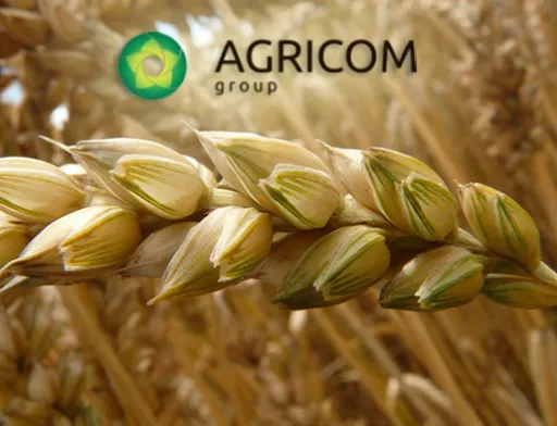 Аgricom Group в конце лета 2017 г. завершит в Черниговской области строительство завода по производству хлопьев