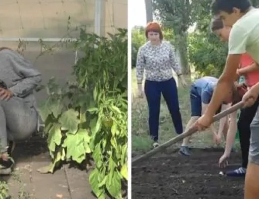 На Донеччині школярі відкрили агрохаб