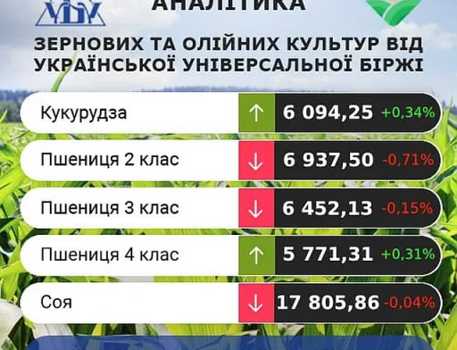 На агроринку України спостерігаються різноспрямовані тенденції: кукурудза зростає, а пшениця падає