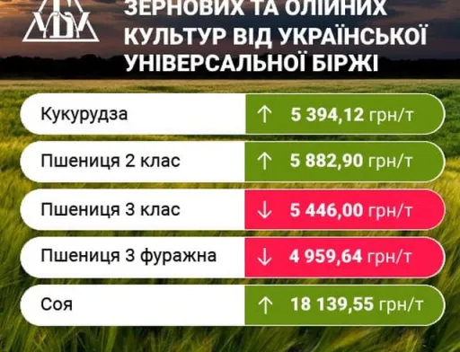 Підсумки на ринку зернових та олійних за минулий тиждень