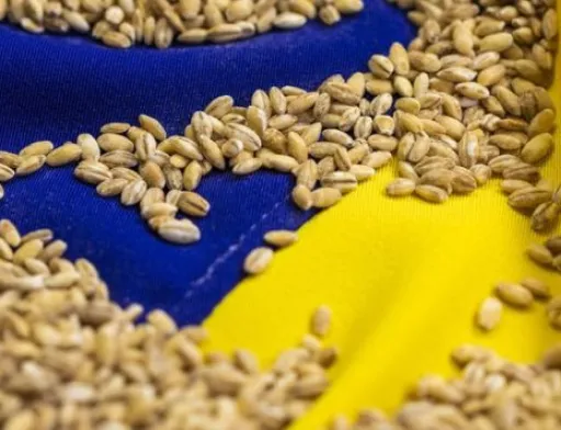 Агрополітику ЄС можливо доведеться змінювати, – Дмитро Кулеба
