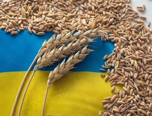 Україна займає третє місце серед постачальників агропродукції до ЄС