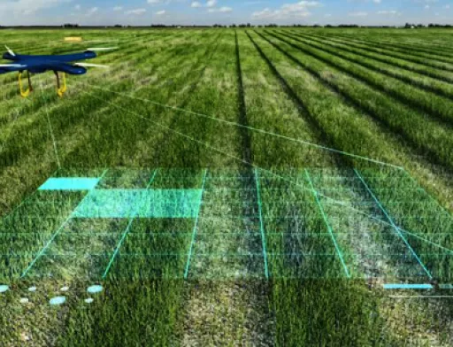 Штучний інтелект слідкує за 95% полів Agricom Group