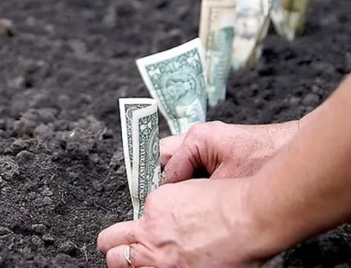 В Україні створено Коаліцію за скасування мораторію на продаж землі