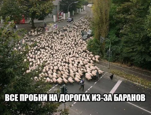 Якщо є ті, хто створює проблеми, то завжди знайдуться й інші, які ці проблеми вирішать