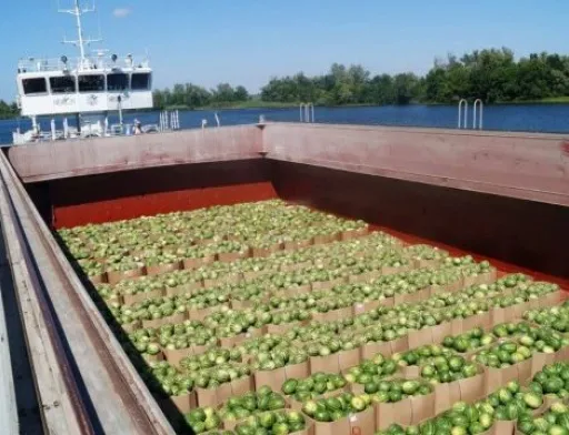 Ціни на кавуни в Україні втричі вищі за торішні