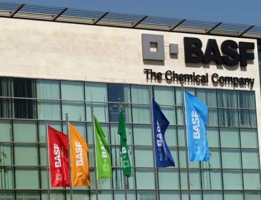 Нова технологія Clearfield® компанії Basf складається з двох частин - унікальних гербіцидів і стійких до них гібридів
