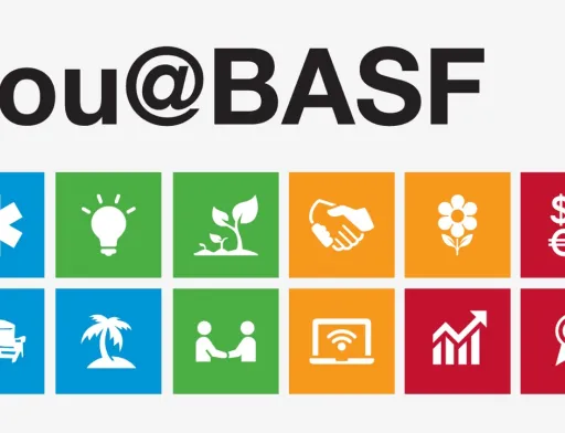 Під час Днів поля експерти BASF приділили увагу захисту основних польових культур в Україні – соняшнику, кукурудзи, пшениці, ячменю, сої та ріпаку