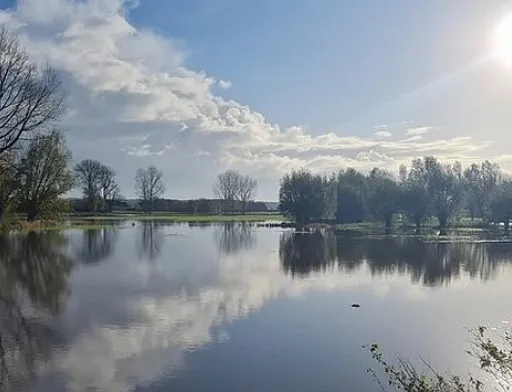Бельгійські фермери «пішли під воду»