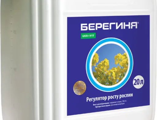 Захищаємо ріпак озимий від переростання