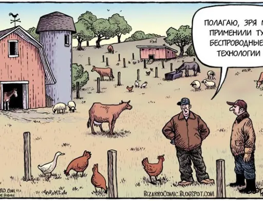 Лайфхаки тижня: розумні кури, "ковдра" для виноградників та корисні додатки
