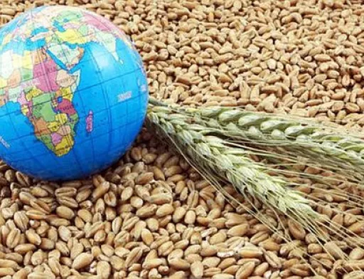 Для безпеки експорту важливе значення має міжнародна спільнота, – Денис Марчук