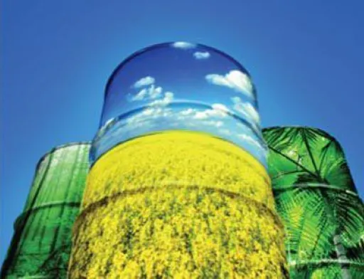 Чи стане Україна новим великим експортером біодизелю до ЄС?