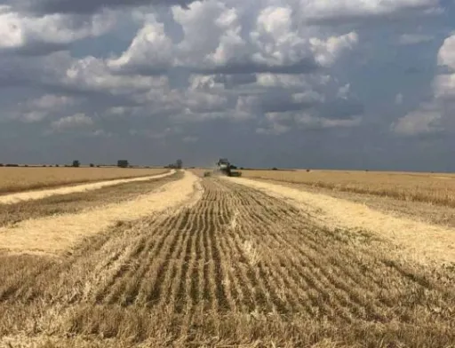 У Болградському районі розпочались жнива