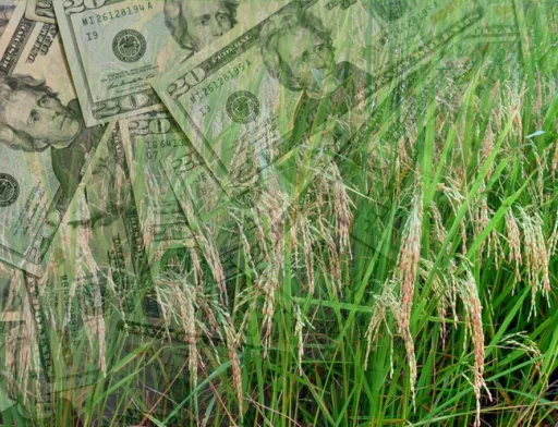 Рейтинг боргів українських агрохолдингів
