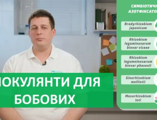 Перша в новому році серія курсу «Про мікроби просто» уже на youtube
