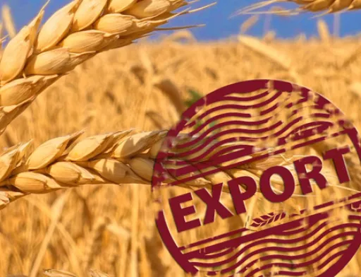 Експорт українського зерна в 2018/19 МР досяг 48.3 млн тон, - Мінагрополітики