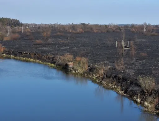 У зоні відчуження ЧАЕС незаконно приватизували 2 га землі