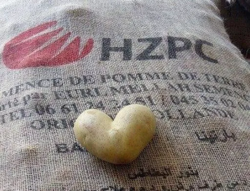 Ноу-хау від HZPC - багатофункціональна електронна бульба-датчик