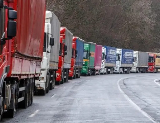 Нідерландські фермери побоюються, що у разі «жорсткого» Brexit їхні овочі «згниють у чергах»