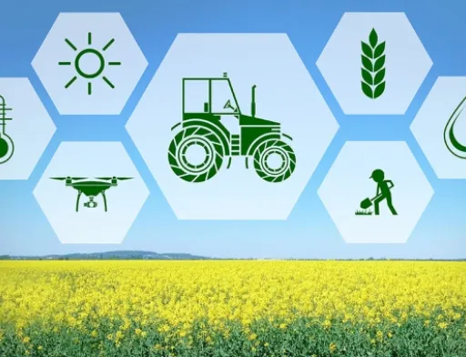 Цифрове сільське господарство суттєво скоротить викиди парникових газів