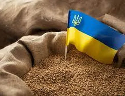 Наше зерно дешеве, тому що Україна не є членом ЄС, – Іван Слободяник