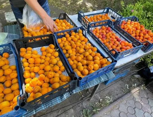 Ціни на перші абрикоси на третину нижчі, ніж минулого року