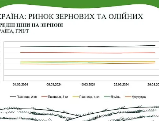 В AgroMarket UUB опублікували аналітичний звіт ринку зернових та олійних за березень