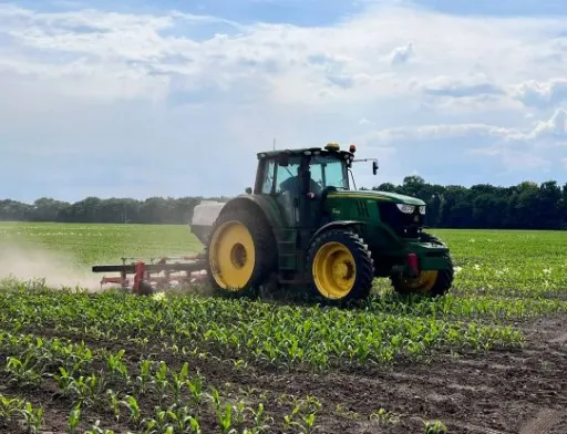 Corteva Agriscience збільшила кількість насіннєвих гібридів, які вирощуються в Україні